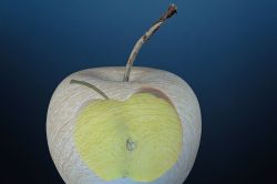 Apfel Mit Kern